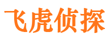 阳东找人公司